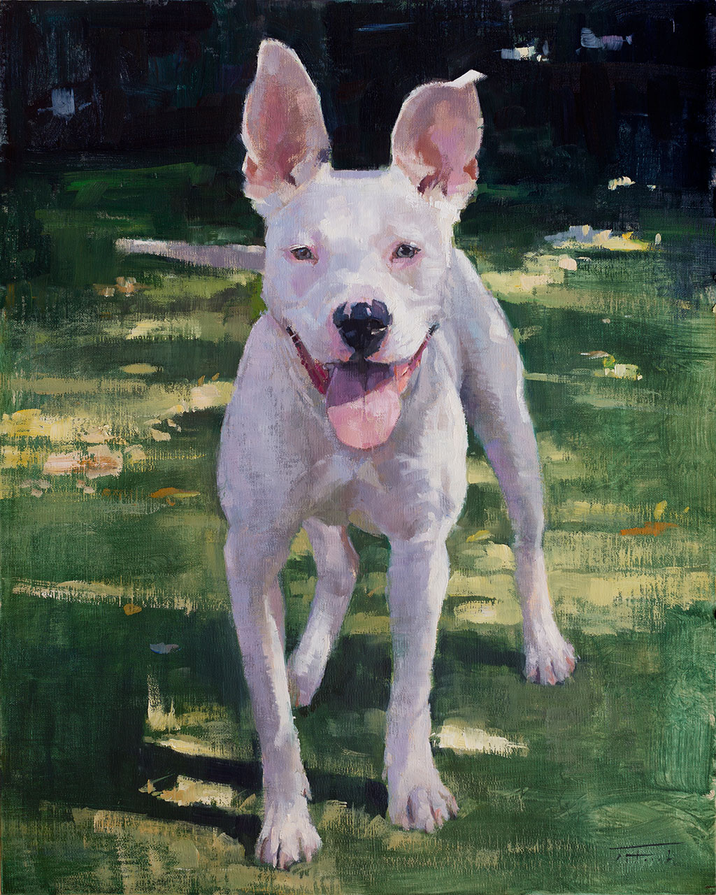 Dog portrait of Angel, painted by artist Patrick Saunders in oils on linen.