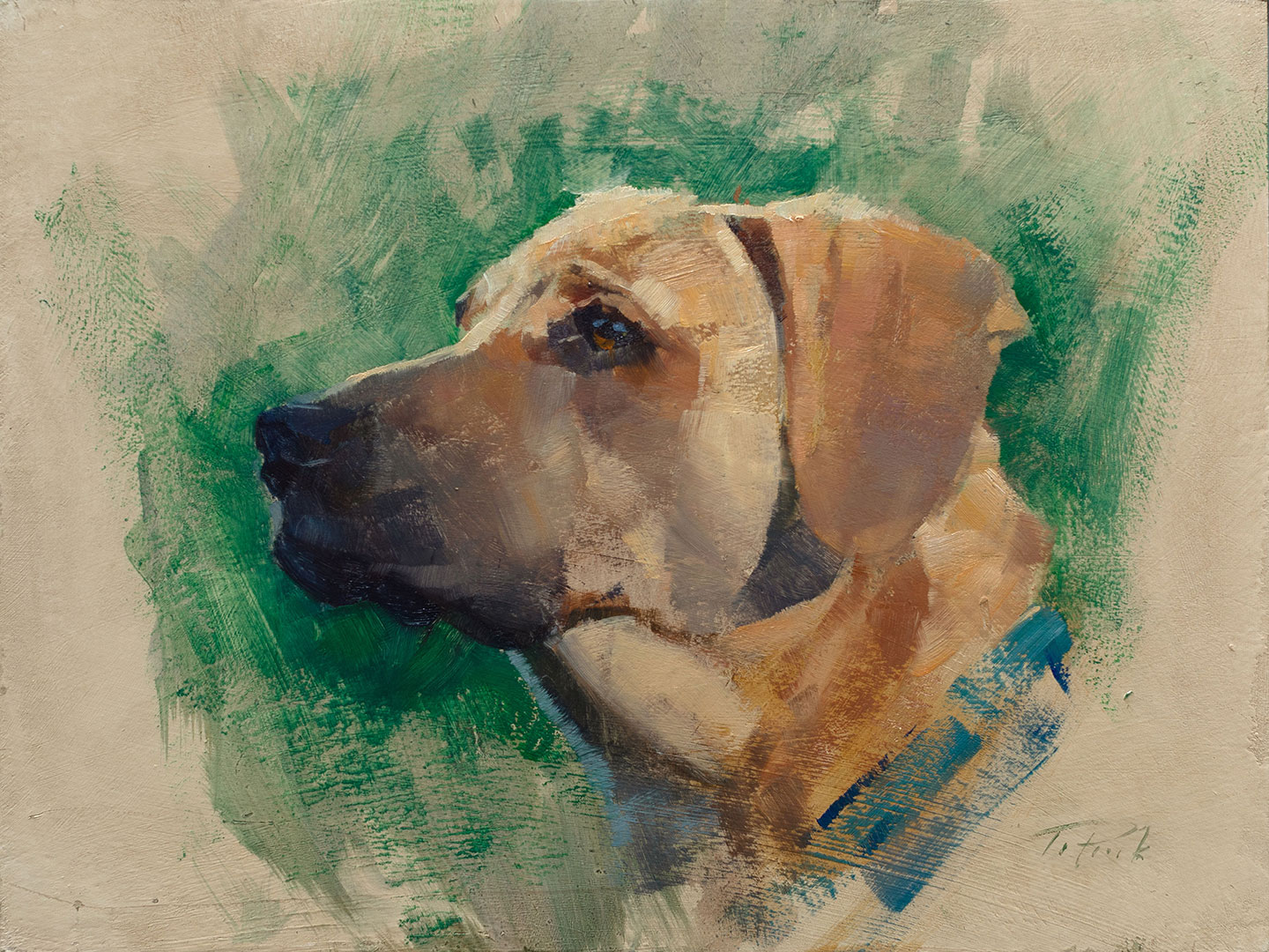Dog portrait, Joey, painted by artist Patrick Saunders in oils on linen.