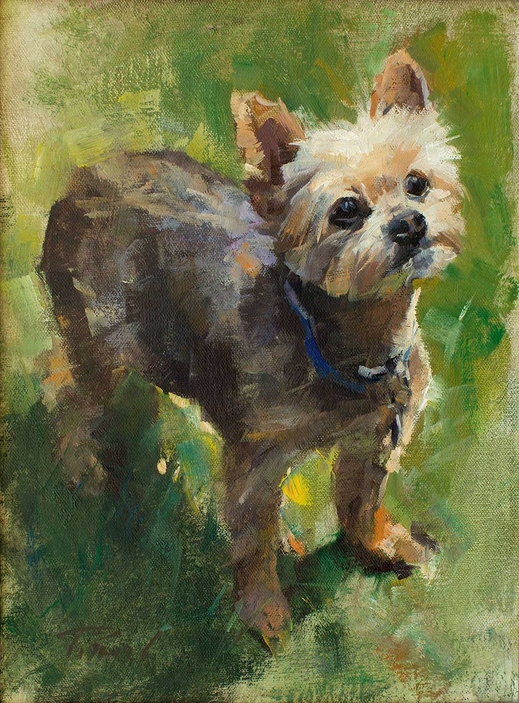 Dog portrait of Mia, painted by artist Patrick Saunders in oils on canvas.