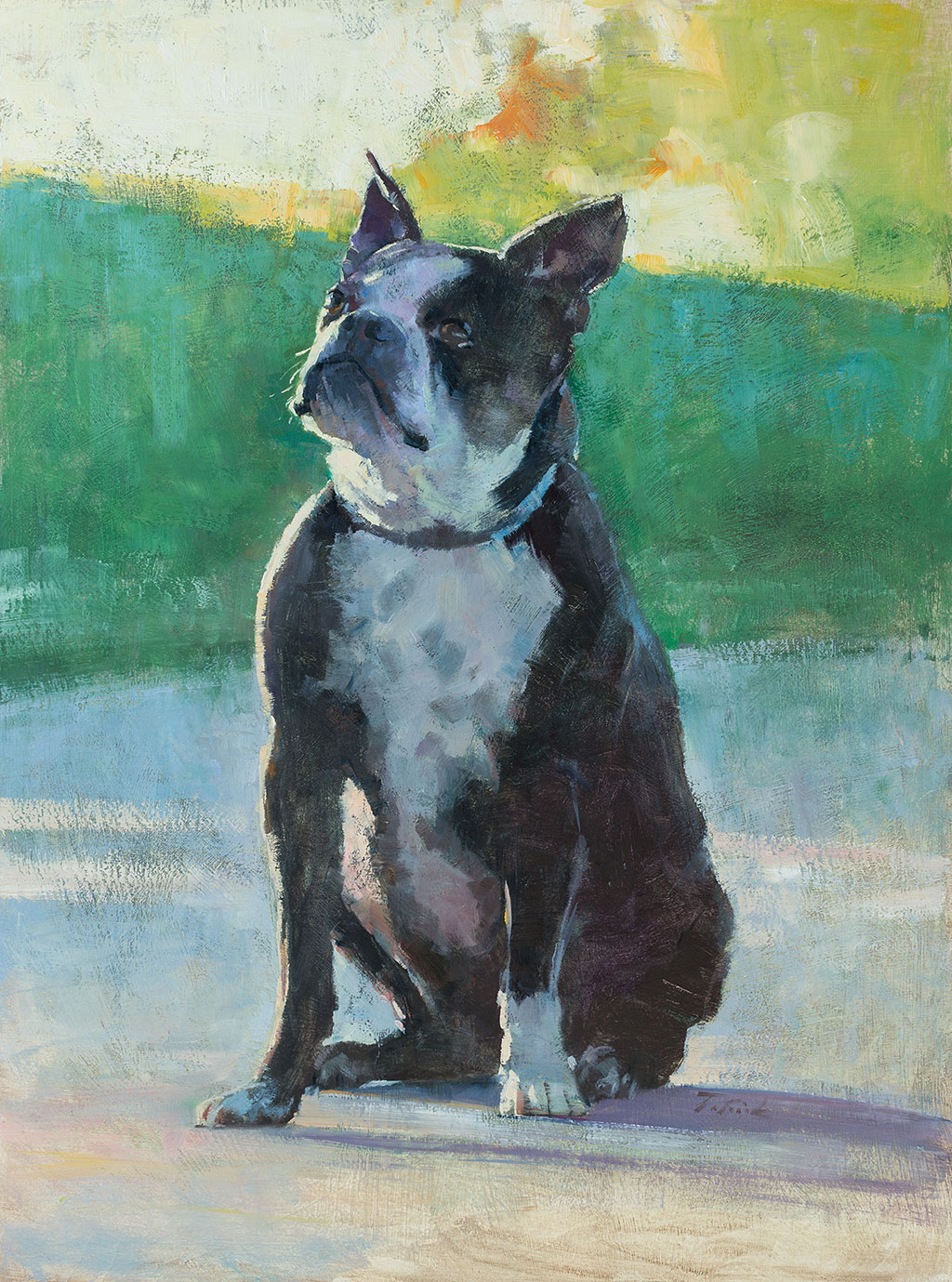 Dog portrait painting of Gene, a Boston Terrier; painted by artist Patrick Saunders in oils on panel.