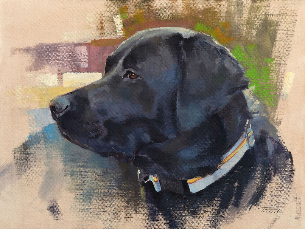 Dog portrait of Zoe, painted by artist Patrick Saunders in oils on canvas.